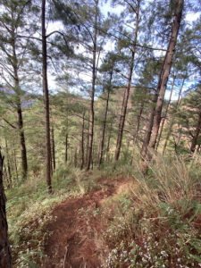 4084 mt tenglawan summit 225x300