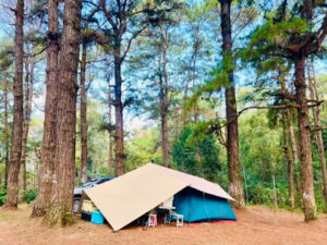 4087 cozy trail campsite 300x225