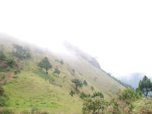 4153 camp site 1 mount ulap 300x225