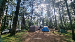 4155 camping at unplug arthub forest carantes ancestral forest 300x169
