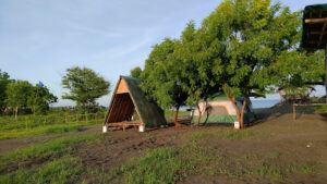 4163 sanoba campsite by the sea 300x169