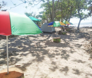 4167 myn seaside camping site 300x253