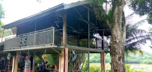 4175 camp farm 8211 nueva vizcaya 300x142