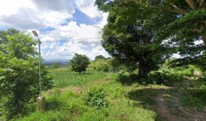 4184 mt.singian campsite 300x176