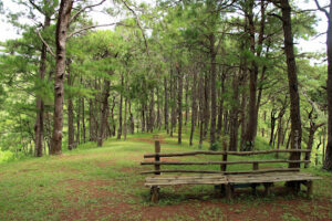 4206 crosby park 300x200