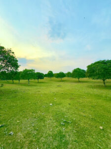 4216 payon campsite vizcaya 225x300