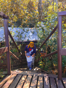 4242 las ang ecotrail and forest cabins 225x300