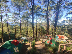 4288 beacon hill eco park 300x225