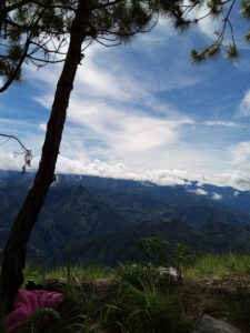 4292 camp utopia viewpoint 225x300