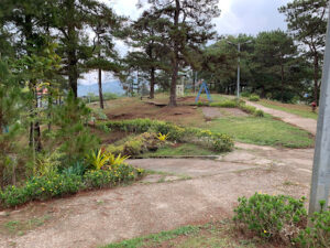 4315 bayan park in aurora hill 300x225