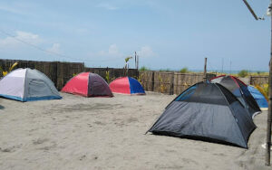 4335 reiwa resort and camping grounds 300x188