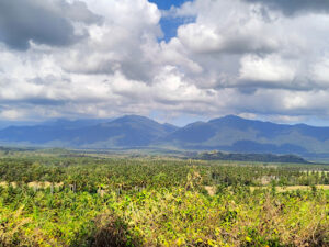 4360 honey campsite 300x225