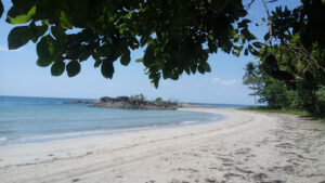4362 palawan campsite 8211 ensomo beach 300x169