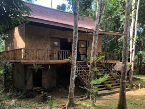 4365 pandora glamping 300x225