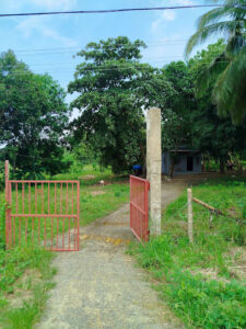 4375 888 farm 225x300