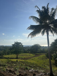 4380 360° overlooking camp site 225x300