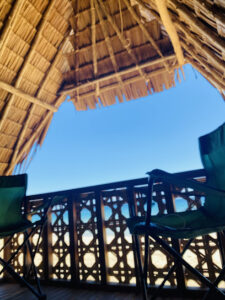 4387 da vinces beach garden 8211 lamane 225x300