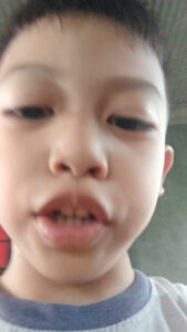 4402 dalin cabin 169x300