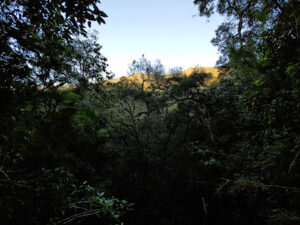 4430 mt. shumkat camp inumalaw maliit 300x225