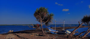 4432 sandbar ni mang mong 300x132