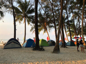 4444 punta sebaring 300x225