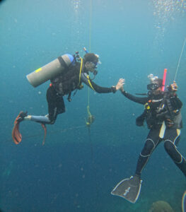 4462 savedra dive center 263x300