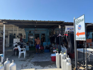 4464 sidive diving centre 300x225