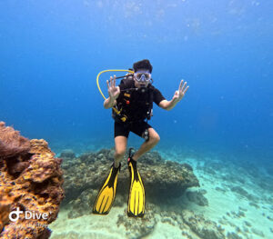 4473 sea pearl divers 5 star padi center 300x263