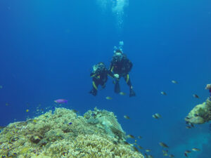 4479 bohol divers club dive center 300x225