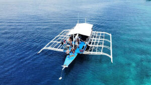 4487 coral sea dive cebu 300x169