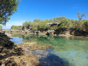 4511 immuki island 300x225