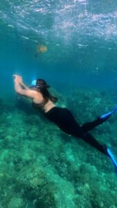 4525 ilocosirena badoc 169x300