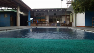 4593 dive buddy diving services 300x169