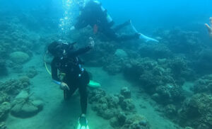 4597 philippine dive master 300x182