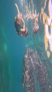 4615 guide to the philippines 169x300