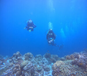 4659 enjoy cebu dive 300x263