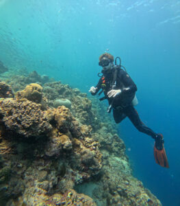 4661 pescador diving center 263x300