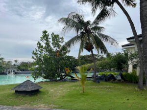 4663 plantation bay 8211 7 seas dive center 300x225