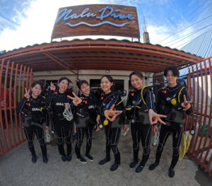 4678 nalu dive 300x263