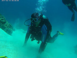 4682 the dive house 300x225