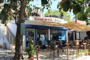 4706 thresher shark divers 300x200