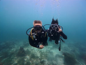 4708 oceanplayer dive 300x225