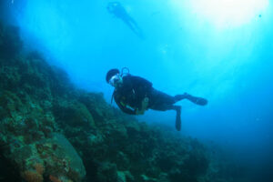 4749 june dive resort 300x200