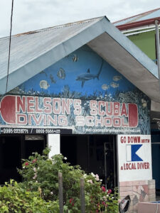 4751 nelsons dive center 225x300