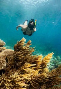 4770 palaone freediving 207x300