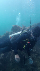 4774 maco coron diving center 169x300
