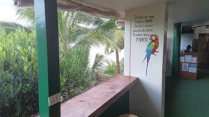 4784 pirate divers busuanga 300x169