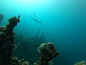 4786 irako shipwreck 300x225