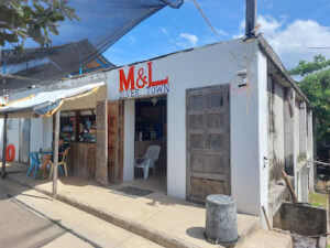 4798 ml diver town 300x225