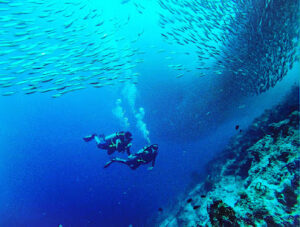 4814 sabanal dive 300x227